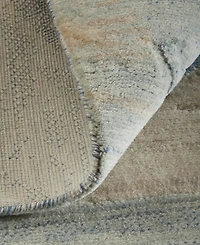 Feizy Jaxson 39PXF 2'x3' Area Rug