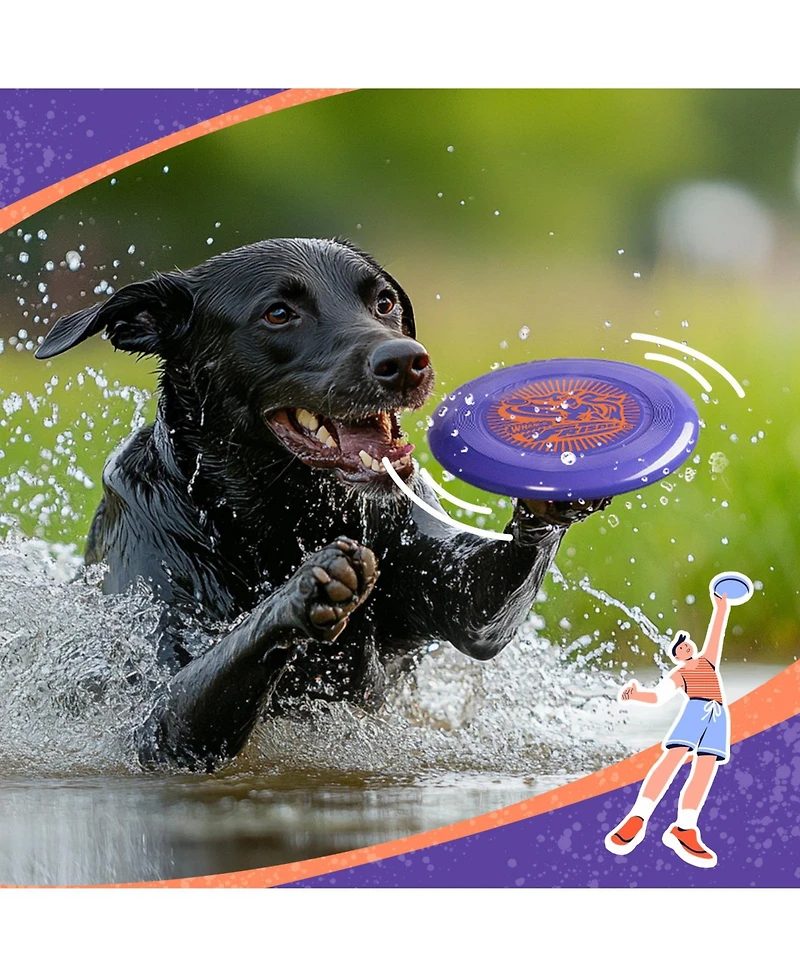 Wham-o Frisbee Go Flying Disc, 9 Inch Lightweight Toy for Beginners Outdoor Game - 70g