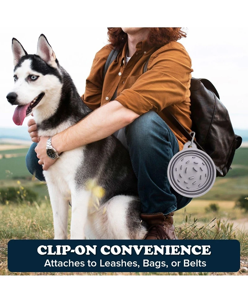 Slow-Feeder, Non-Skid, Bpa-Free Silicone Travel Dog Bowl