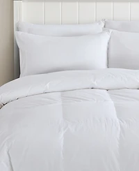 Avocado 600 Fill Power Down Comforter