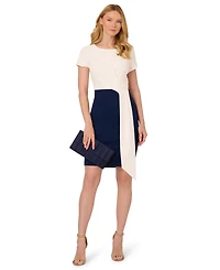 Adrianna Papell Women's Colorblocked Draped Sheath Dress