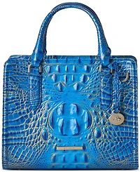 Brahmin Cami Melbourne Satchel