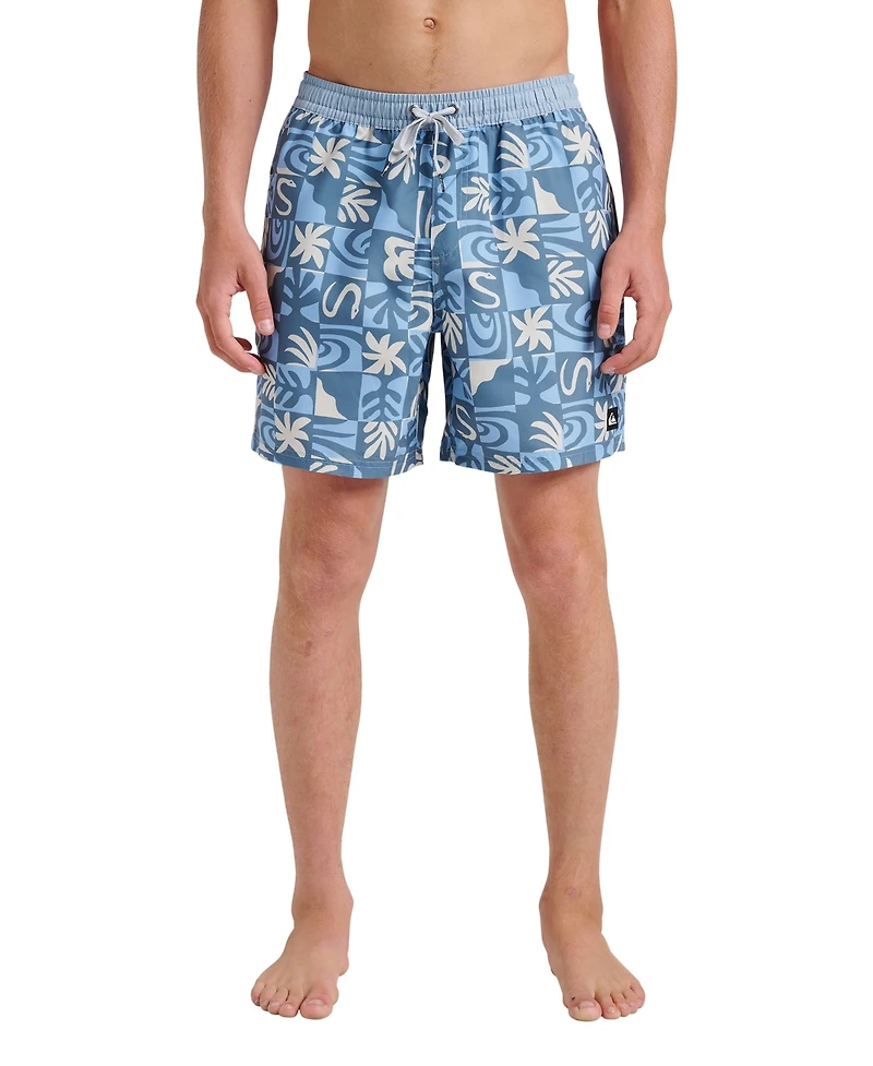 Quiksilver Men's Everyday Volley Terra Swim Shorts