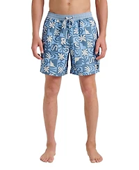 Quiksilver Men's Everyday Volley Terra Swim Shorts