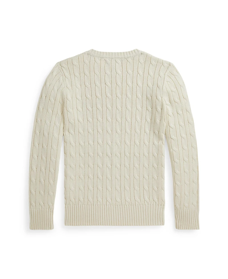 Polo Ralph Lauren Big Boys Cable Knit Sweater