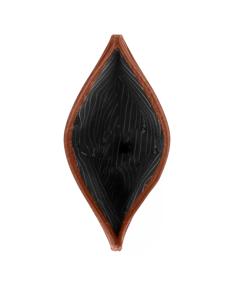 Champs Men's Classic Collection Leather Wallets