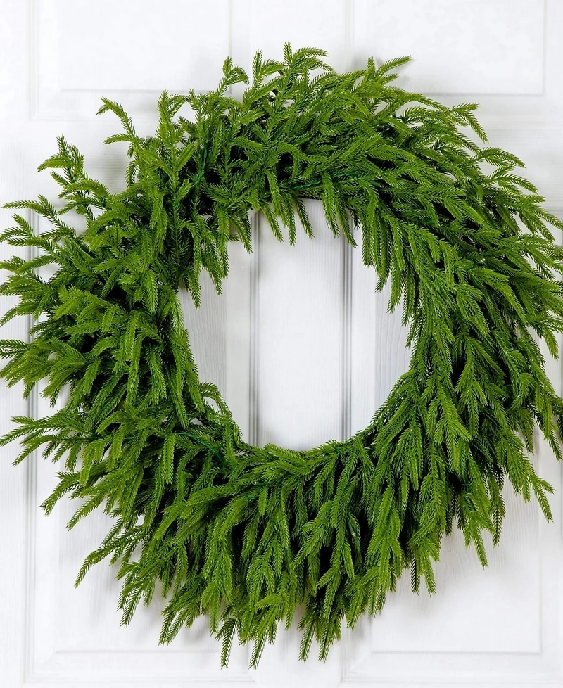 Nearly Natural 24" Pre-Lit Artificial Touch Norfolk Island Pine Wreath Led Lights and Natural Look