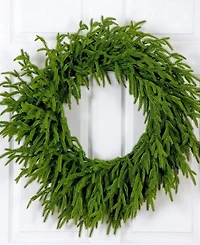 Nearly Natural 24" Pre-Lit Artificial Touch Norfolk Island Pine Wreath Led Lights and Natural Look
