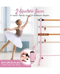 Akiudex 4 Ft Portable Freestanding Double Ballet Barre