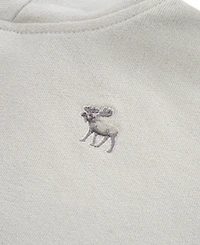 abercrombie kids Boys Essential Fleece Pullover Hoodie