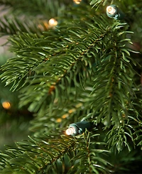 Balsam Hill 4 ft Country Farm Pre-Lit Fir Tree