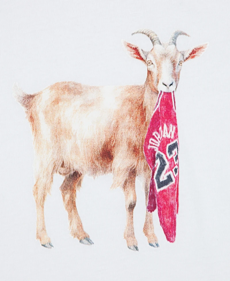 Jordan Big Boys Flight Goat T-Shirt