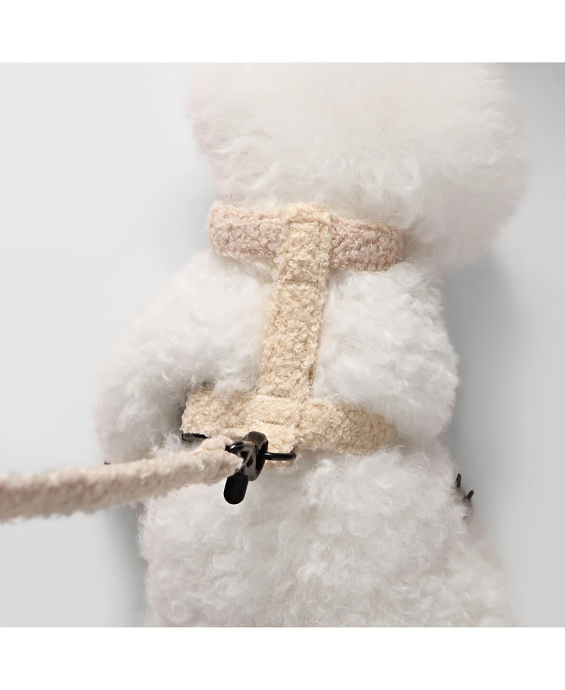 Teddy Boucle Adjustable H Harness Leash Walk Set with Poop Bag Pouch