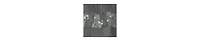 Kate Aurora Complete 5 Pc Window a Bag Embroidered Floral Country Flax Sheer Curtain & Valance Set
