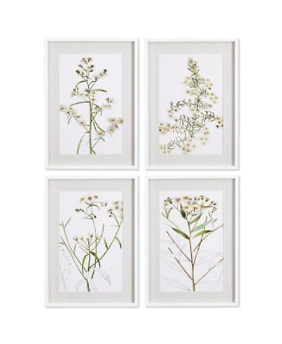 Daisy Prints Set of 4