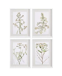 Daisy Prints Set of 4