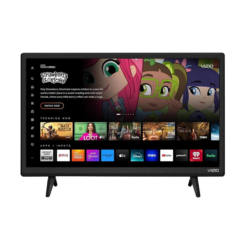 24" Class D-Series Fhd Led Smart Tv - D24F-J09