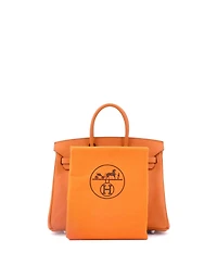 Pre-Owned Hermes Birkin 25 Handbag Orange Epsom with Palladium Hardware