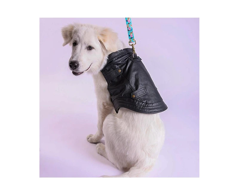 K9 Wear Starter Kit with Genuine Leather Jacket