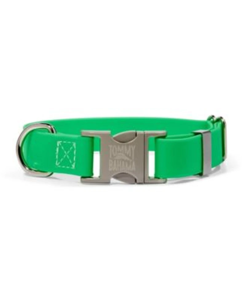 Tommy Bahama Pet Collar Lime Xl