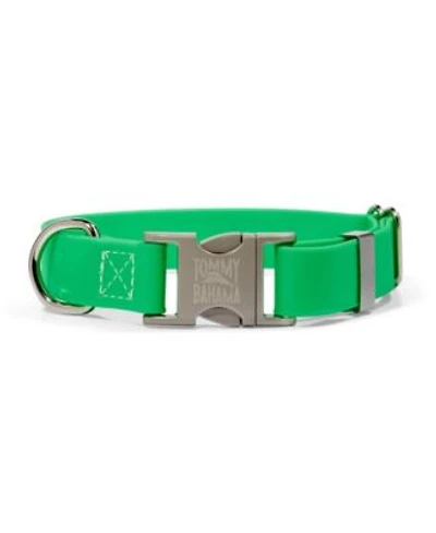 Tommy Bahama Pet Collar Lime Xl