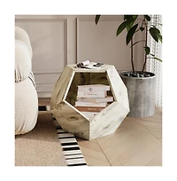 Aostirmotor 25.98 in W. Antique Brown Modern Pet Furniture Cat Carrier Sofa Side Table