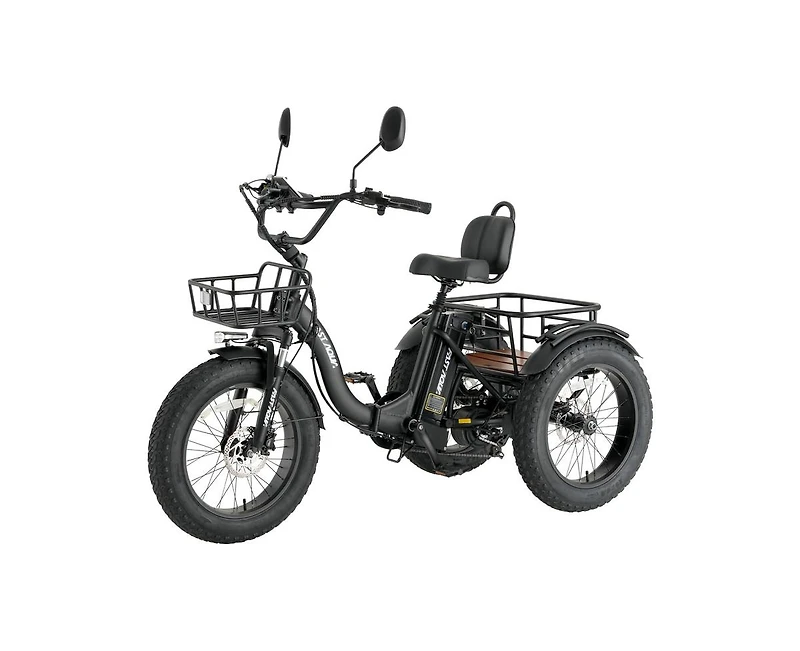 Mikolo Electric Tricycle for Adults, 750W(Peak 1350W) Motor, 48V13Ah Battery, 20"x4" Folding Fat Tire 3-Wheel Electric Trike, 20MPH, Hydraul