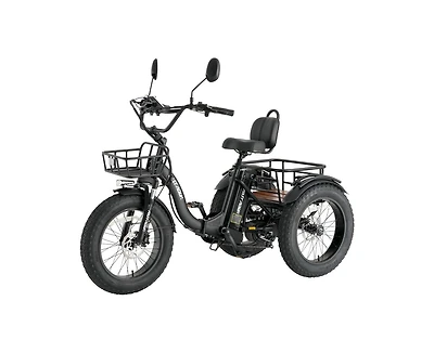 Mikolo Electric Tricycle for Adults, 750W(Peak 1350W) Motor, 48V13Ah Battery, 20"x4" Folding Fat Tire 3-Wheel Electric Trike, 20MPH, Hydraul