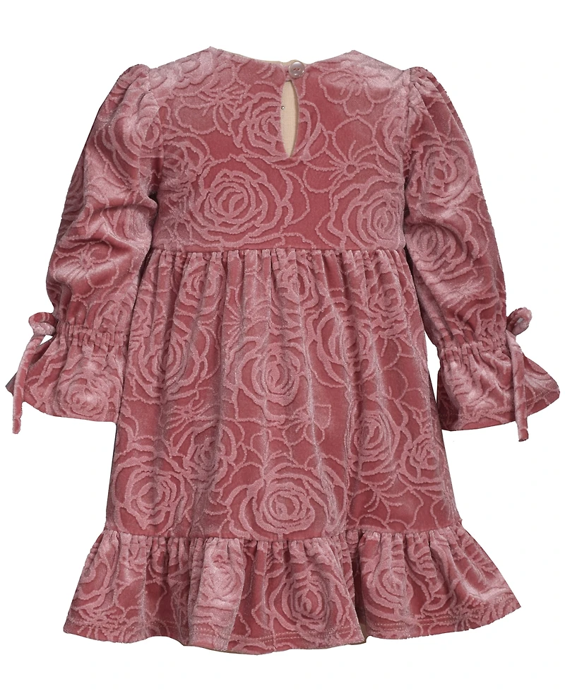 Bonnie Baby Girls Long Sleeve Floral Velvet Dress