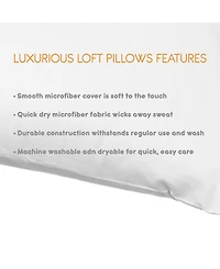 C&C California 2-Pack Pillow Set, Standard