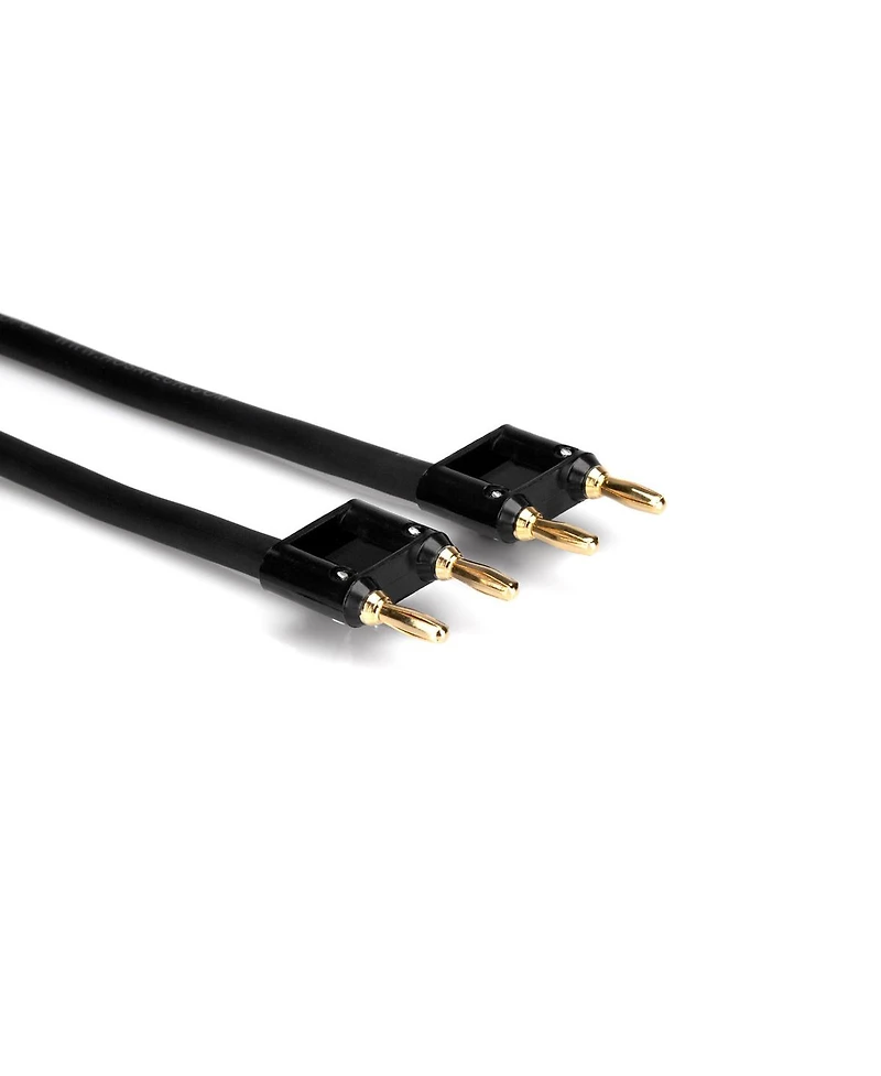 Hosa Technology 75' Dual Banana Male to Dual Banana Male Speaker Cable
