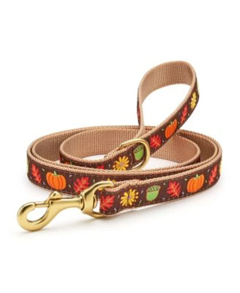 Up Country Harvest Time Dog Lead