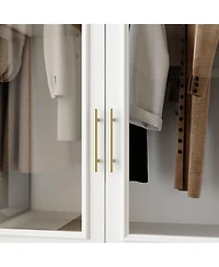 Wardrobe with 2-Door 3-Drawer, with Tempered Glass, Bedroom Closet，Armoire