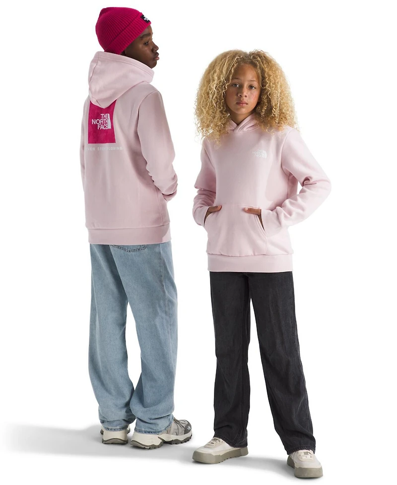 The North Face Big Girls Evolution Box Pull On Hoodie