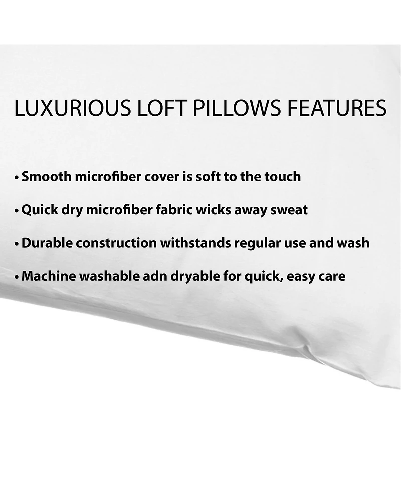 Sanctuary 2-Pack Pillow, Standard (A $50.00 Value)