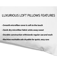 Sanctuary 2-Pack Pillow, Standard (A $50.00 Value)