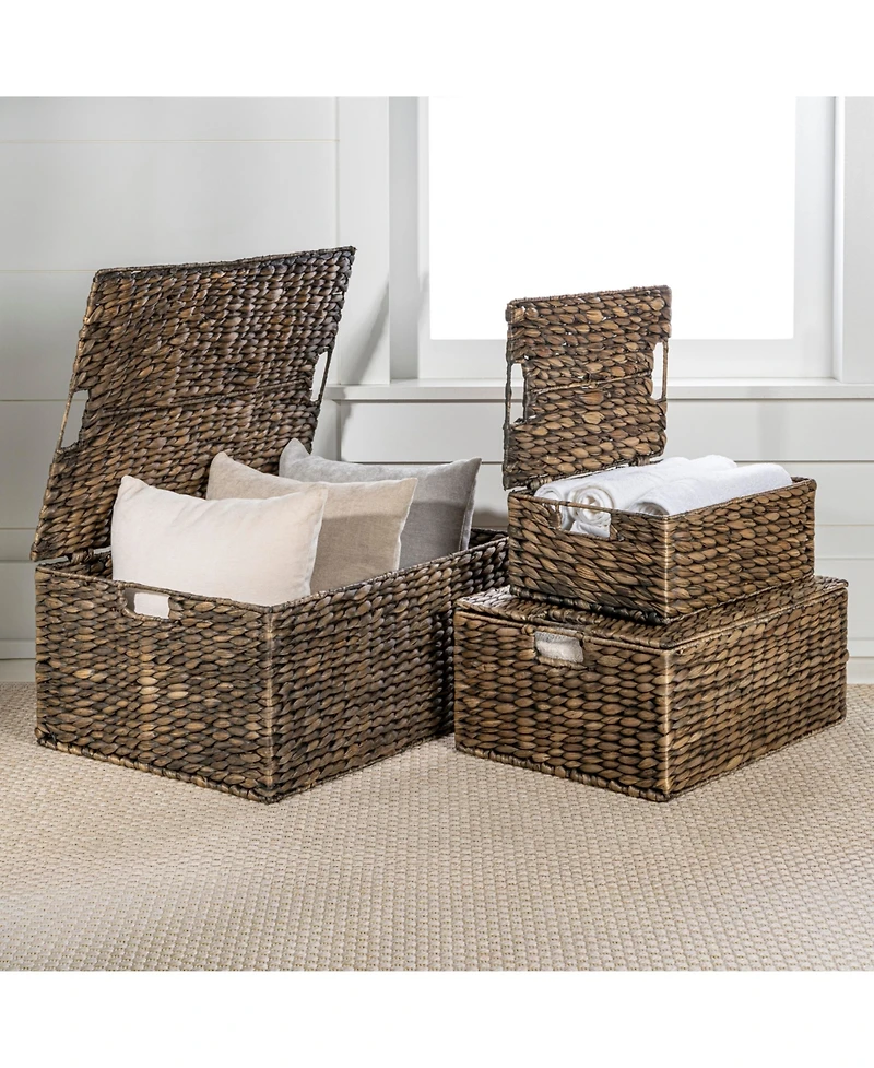 Happimess Brooks Classic Farmhouse Woven Hyacinth Rectangular Storage Baskets with Lids and Handles (Set of 3)
