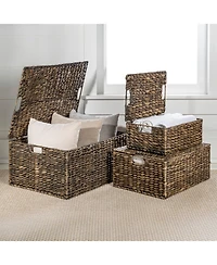 Happimess Brooks Classic Farmhouse Woven Hyacinth Rectangular Storage Baskets with Lids and Handles (Set of 3)