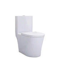 Casainc Dual Flush 1.1/1.6 Gpf Elongated One-Piece One-Piece Bathroom Fixture, Comfort Height, Water-Saving Design, Map 1000g