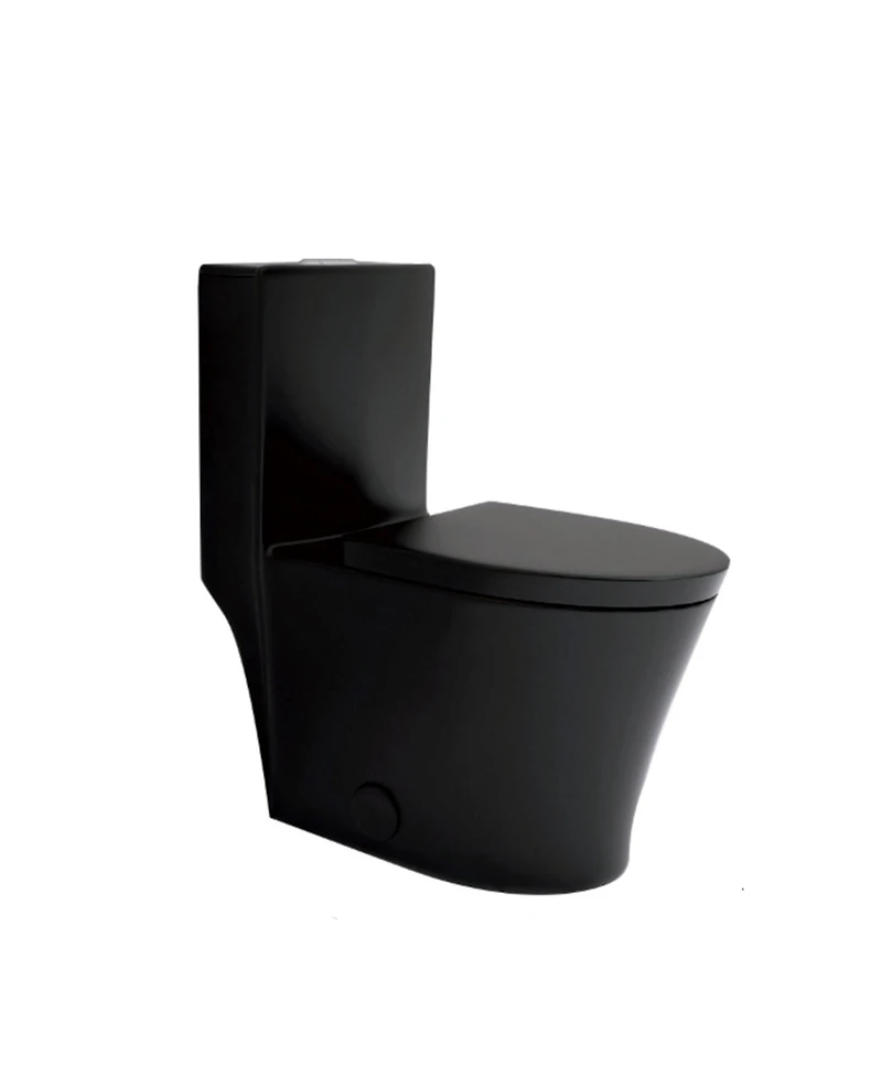 Casainc Dual Flush 1.1/1.6 Gpf Elongated One-Piece Bathroom Fixture, Comfort Height, Water-Saving Design, Map 1000g