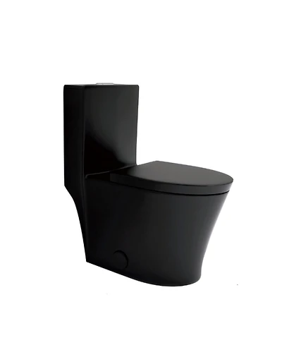 Casainc Dual Flush 1.1/1.6 Gpf Elongated One-Piece Bathroom Fixture, Comfort Height, Water-Saving Design, Map 1000g