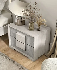 Furniture of America Jonnick 18" Wood Two-tone 2-Drawer Nightstand