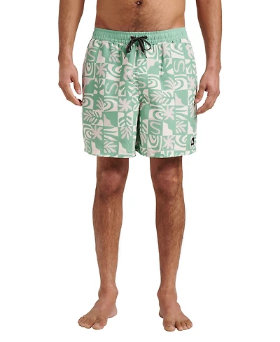 Quiksilver Men's Everyday Volley Terra Swim Shorts