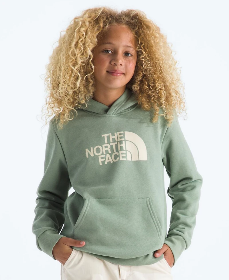 The North Face Big Boys Evolution Half Dome Pull On Hoodie