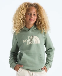 The North Face Big Boys Evolution Half Dome Pull On Hoodie