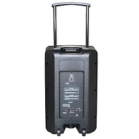 RadioShack 12 Inch Pa Tower Speaker with Fm Radio, Rechargeable Battery, and Tripod 4001941