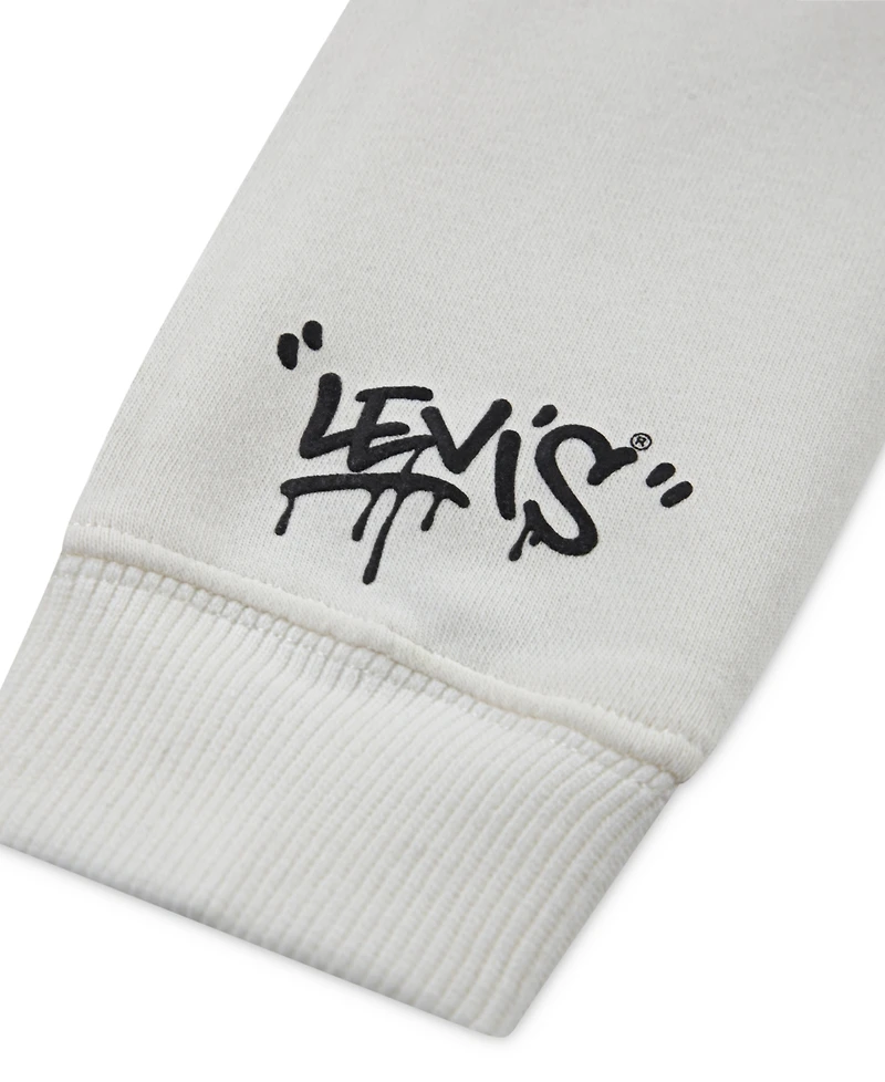 Levi's Boys 2T-4T Street Style Pullover Hoodie