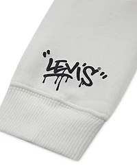 Levi's Boys 2T-4T Street Style Pullover Hoodie