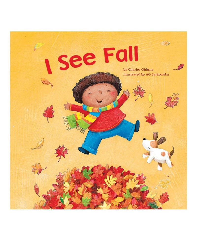 Capstone Press I See Books - Set of 4