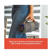 RadioShack 50W Gray and Orange Wireless Bluetooth Portable Speaker With Type C Charging Cable 4001784